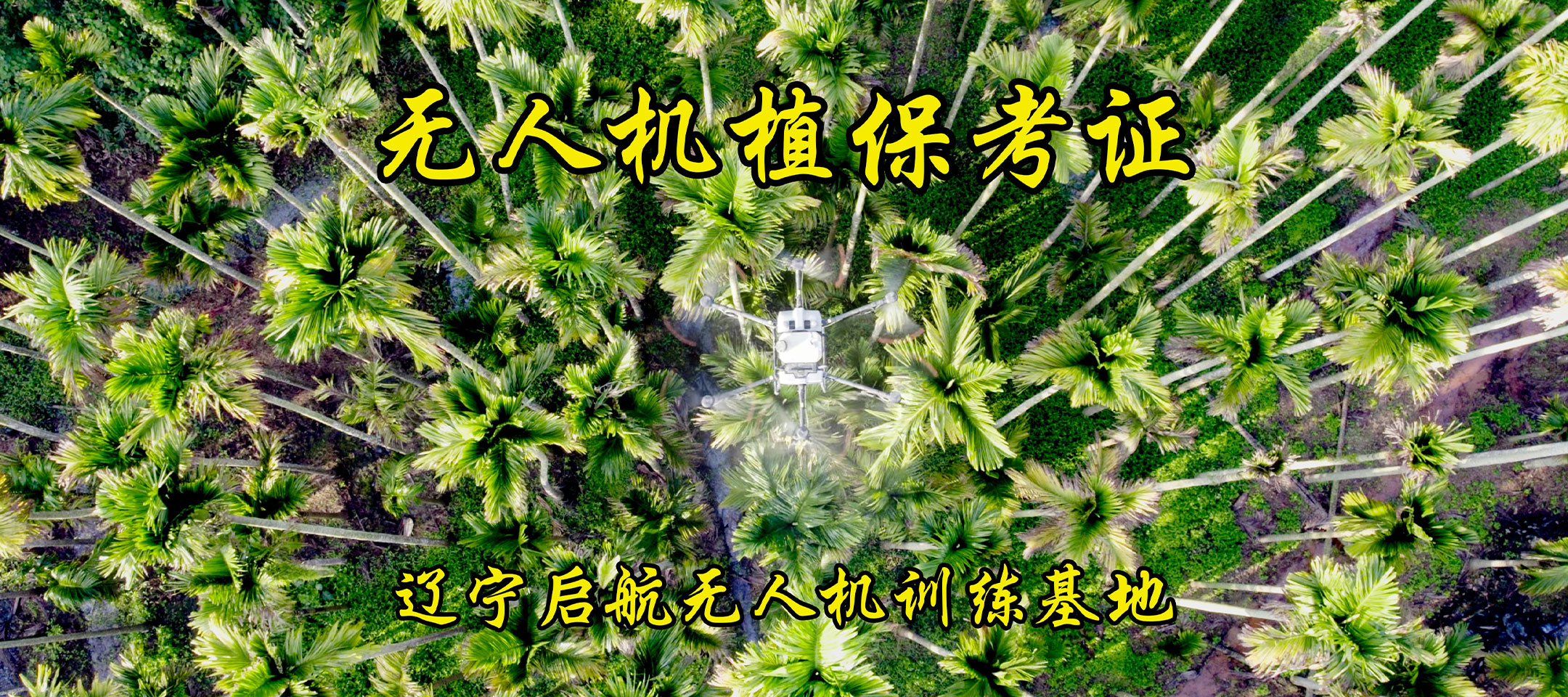 遼寧植保無人機駕駛員培訓